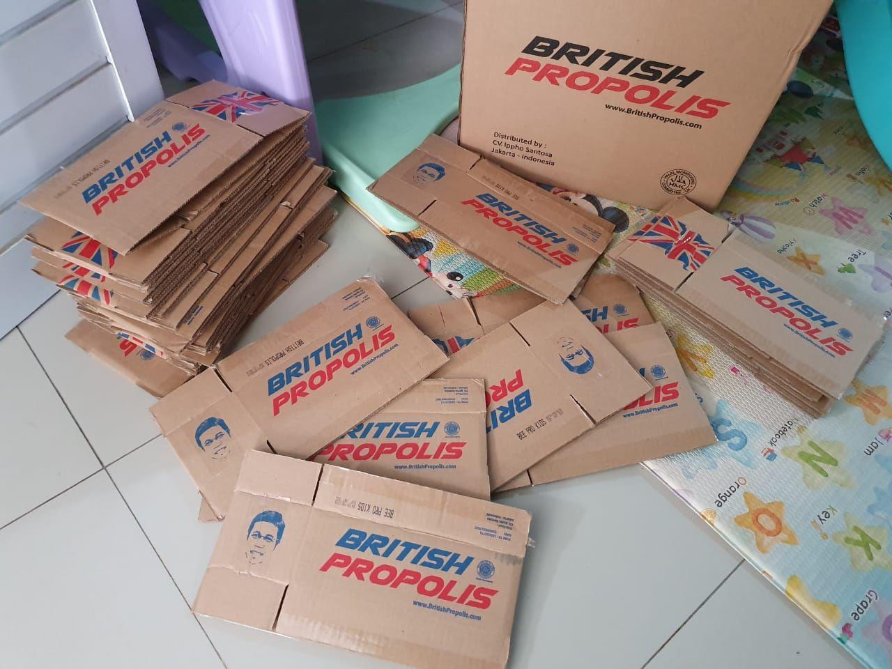 distributor british propolis