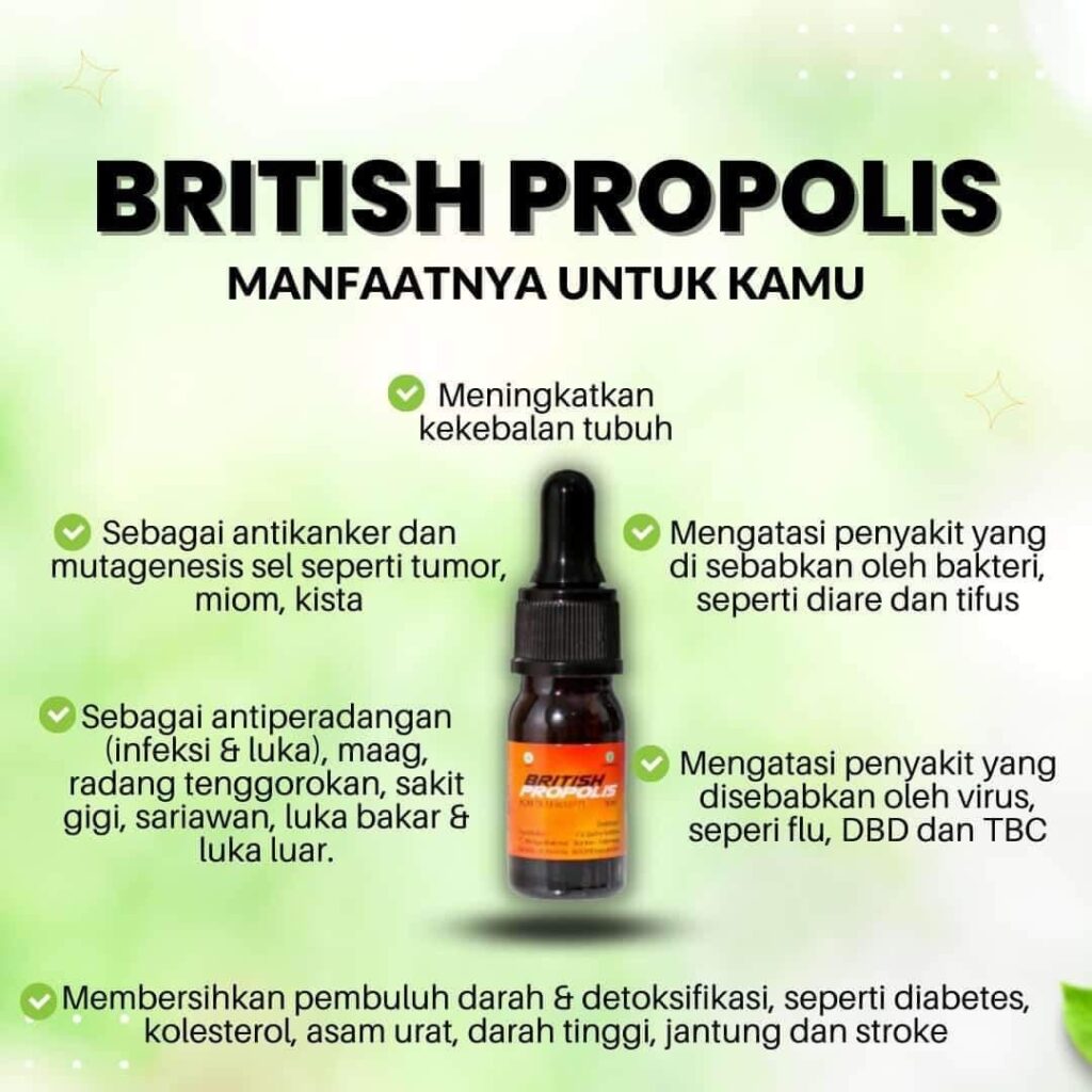 agen resmi british propolis