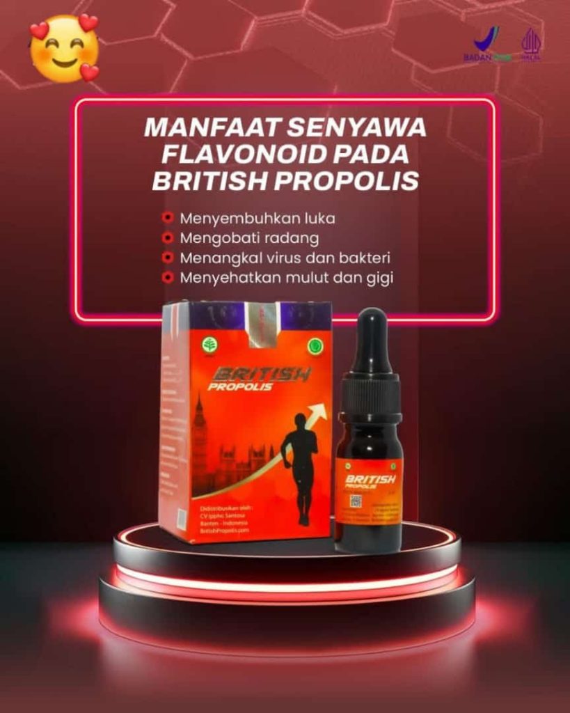 khasiat british propolis untuk kesehatan