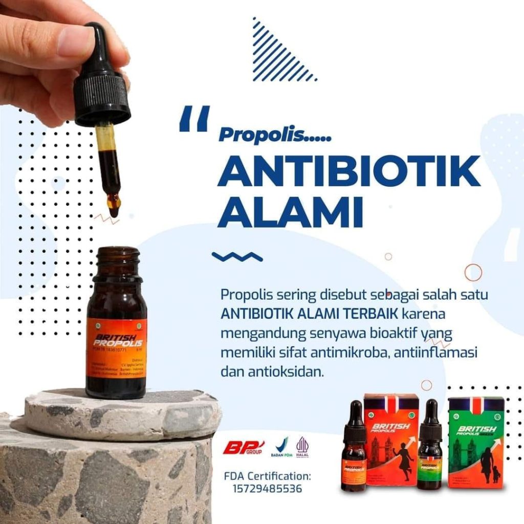 obat propolis