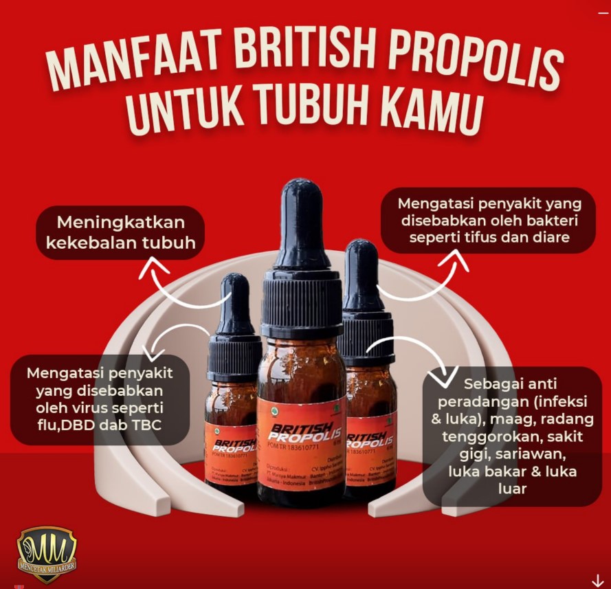 kegunaan obat propolis