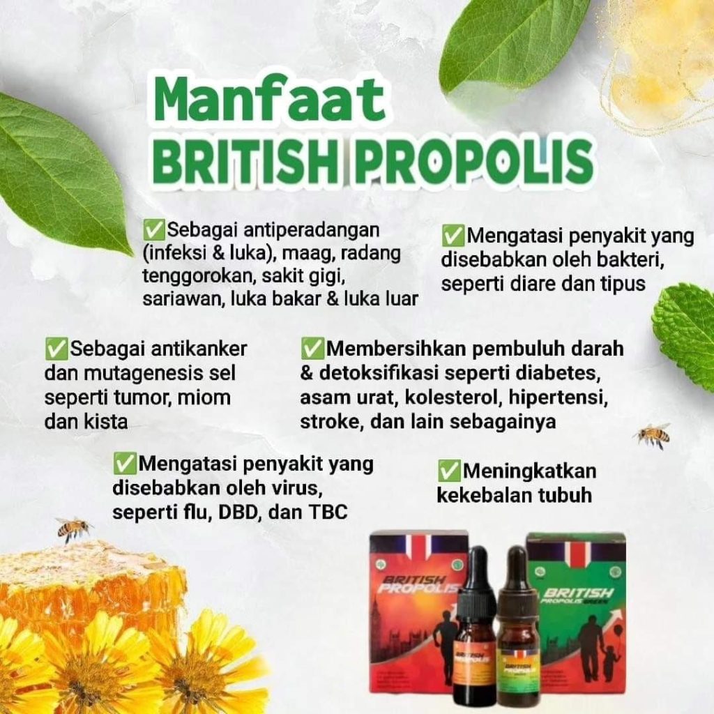 manfaat obat propolis